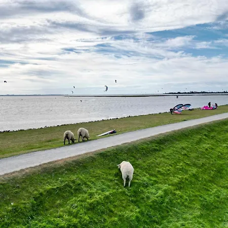 Fehmarn-ostseeferiendeichhuus209 Semesterbostad *